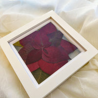 6x6 White Wood Poinsettia frame