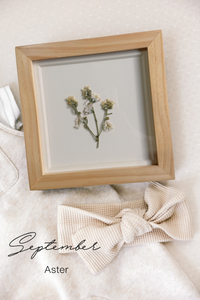 Pressed Birth Flowers in Frames (Ships Immediately)