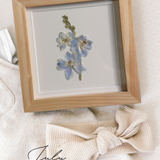 Pressed Birth Flowers in Frames (Ships Immediately)
