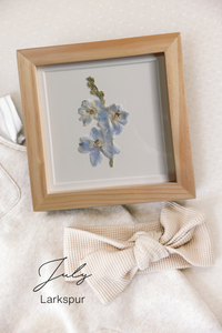 Pressed Birth Flowers in Frames (Ships Immediately)