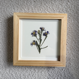 Birth Flower Frame | 10x10 | 6x6