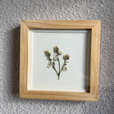 Birth Flower Frame | 10x10 | 6x6