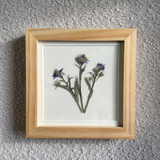 Birth Flower Frame | 10x10 | 6x6