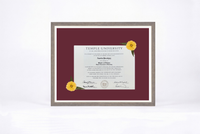 Pressed Flower Diploma Frame | 16x20 Graduation Keepsake