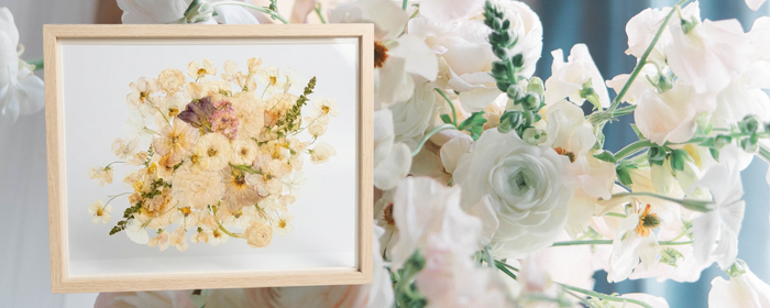 White Ranunculus