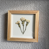 Birth Flower Frame | 10x10 | 6x6