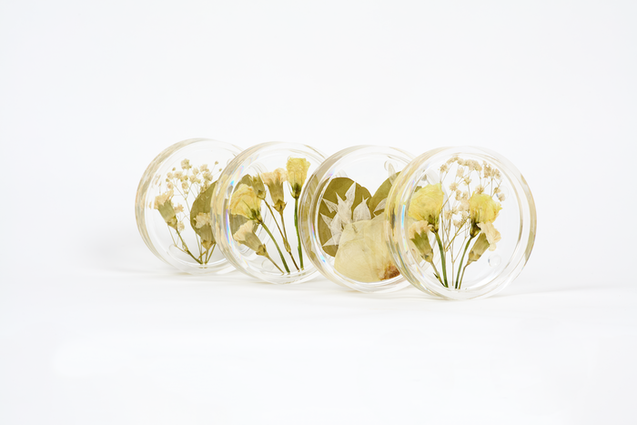 White Lisianthus