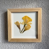 Birth Flower Frame | 10x10 | 6x6