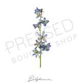 Pressed Stems with Titles | Downloadable Print