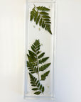 Resin Display tray with pressed ferns