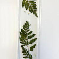 Resin Display tray with pressed ferns