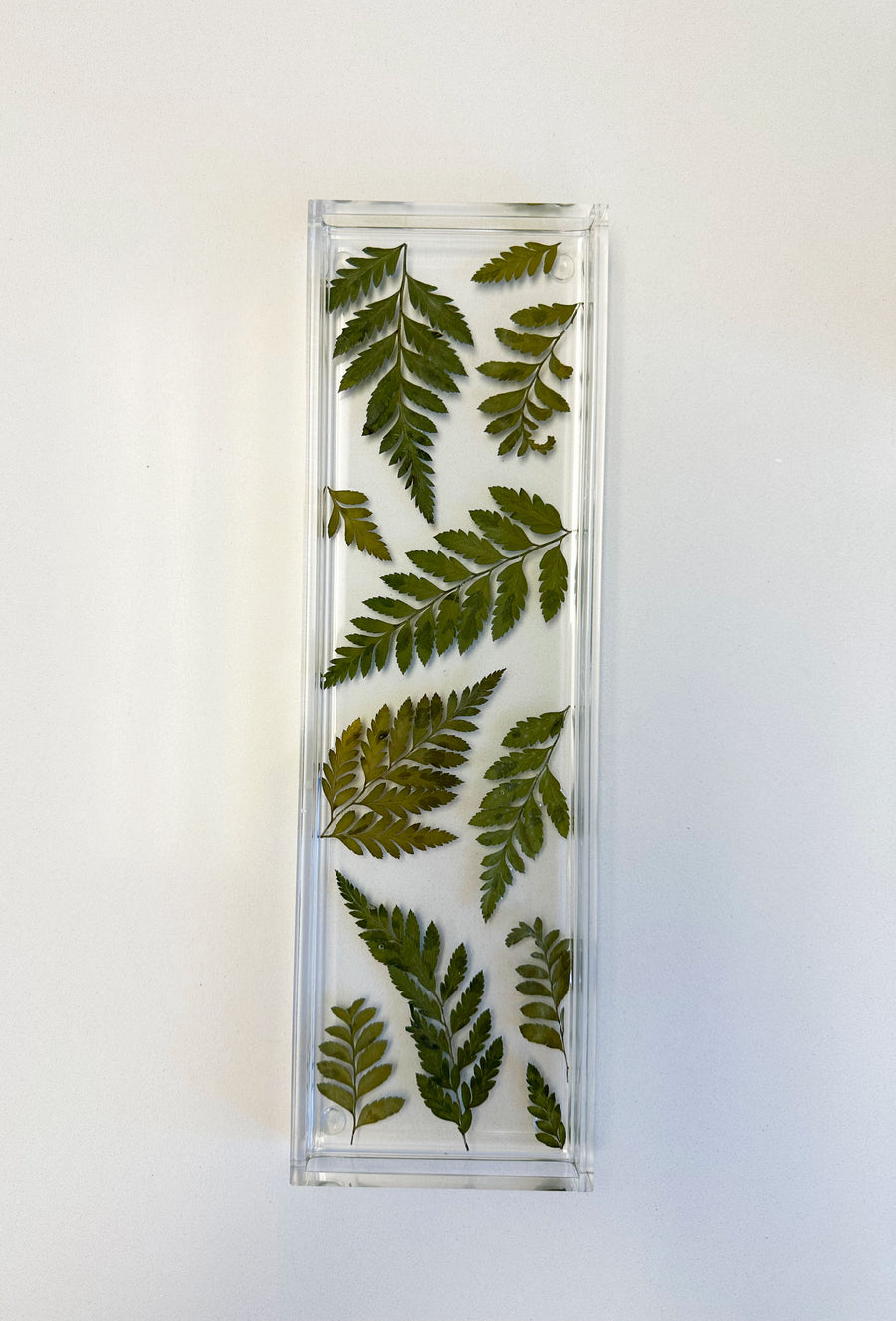 Resin Display tray with pressed ferns