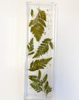 Resin Display tray with pressed ferns with gold flakes