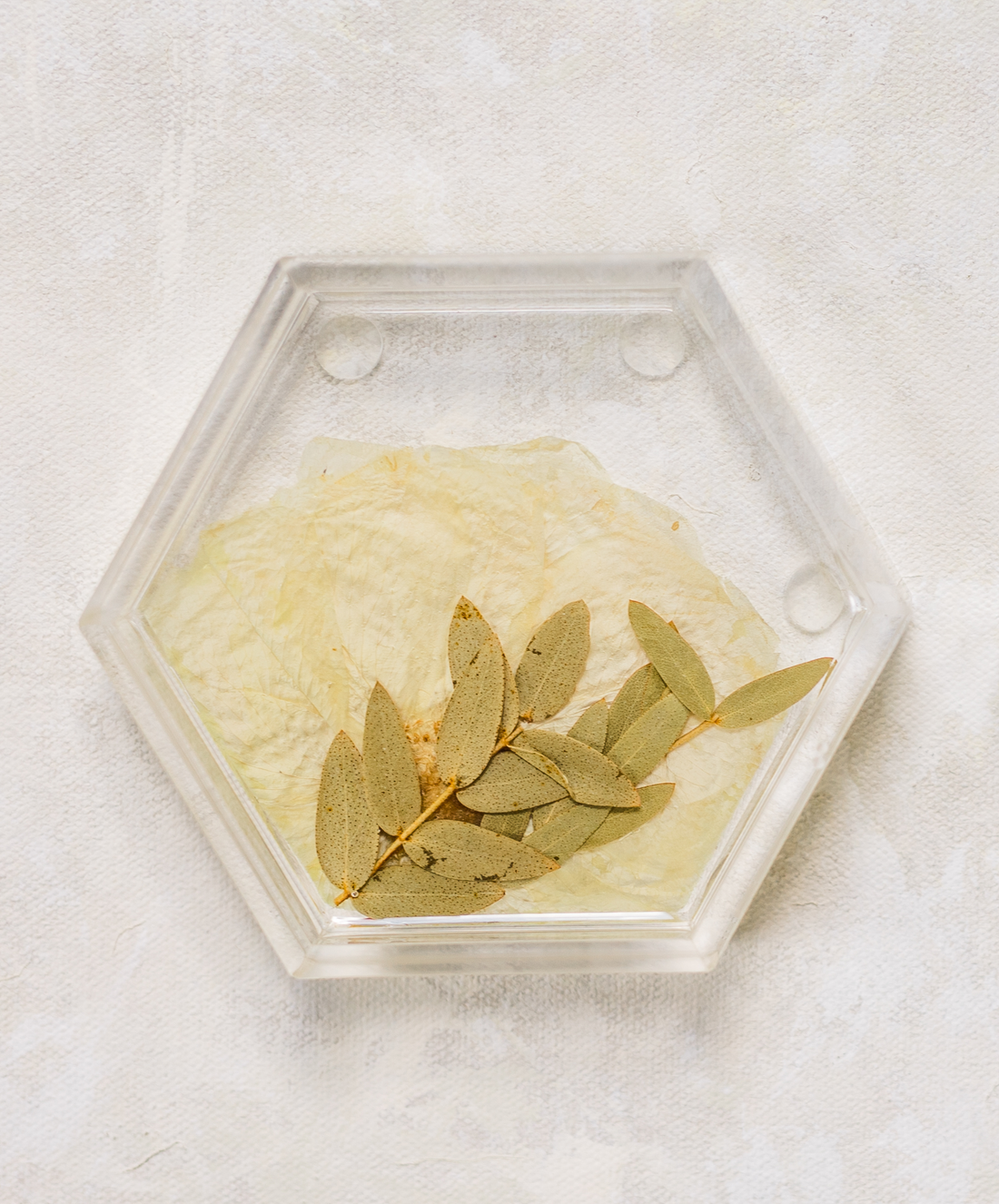 Pressed Flower Hexagon Ring Dishes