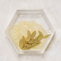 Pressed Flower Hexagon Ring Dishes