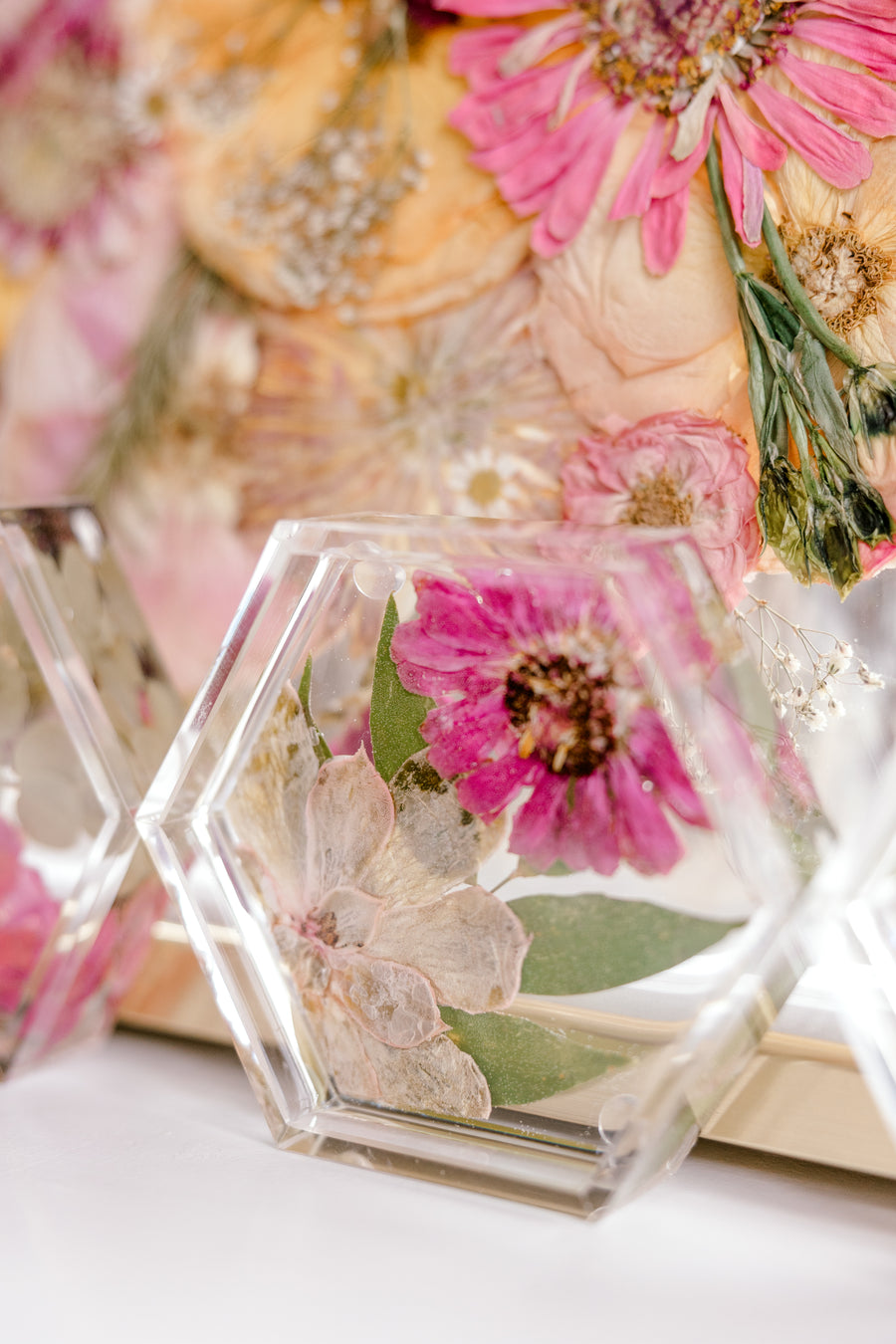 A beautiful photograph of a pressed flower coaster with a pressed zinnia and a pressed succulent sitting against a pressed flower frame. 