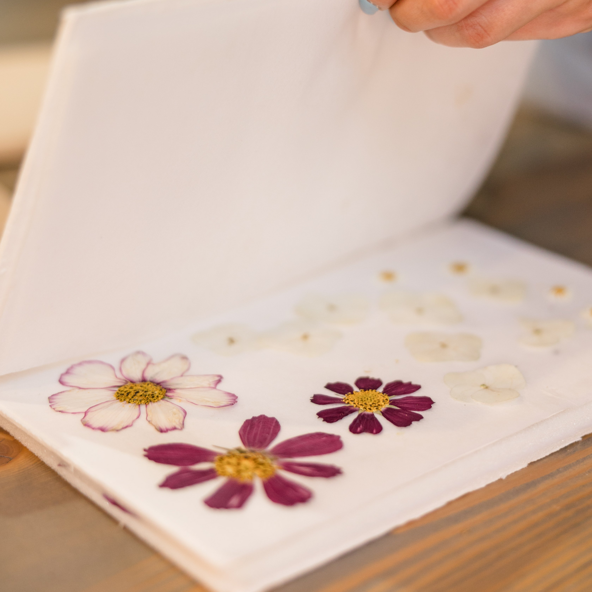 Hands carefully preserving flowers at The Pressed Bouquet Shop by Element