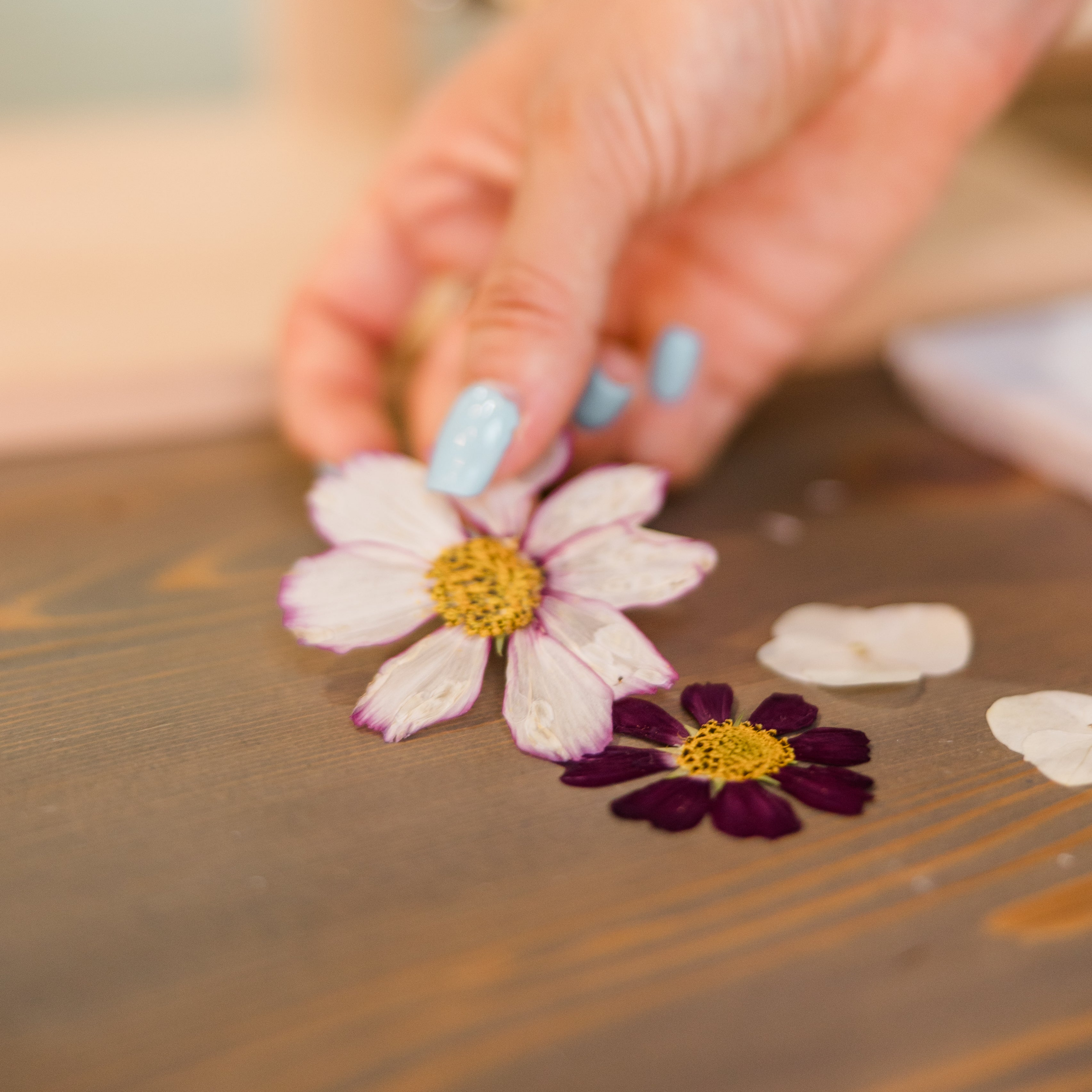 Gift Card for Flower Preservation