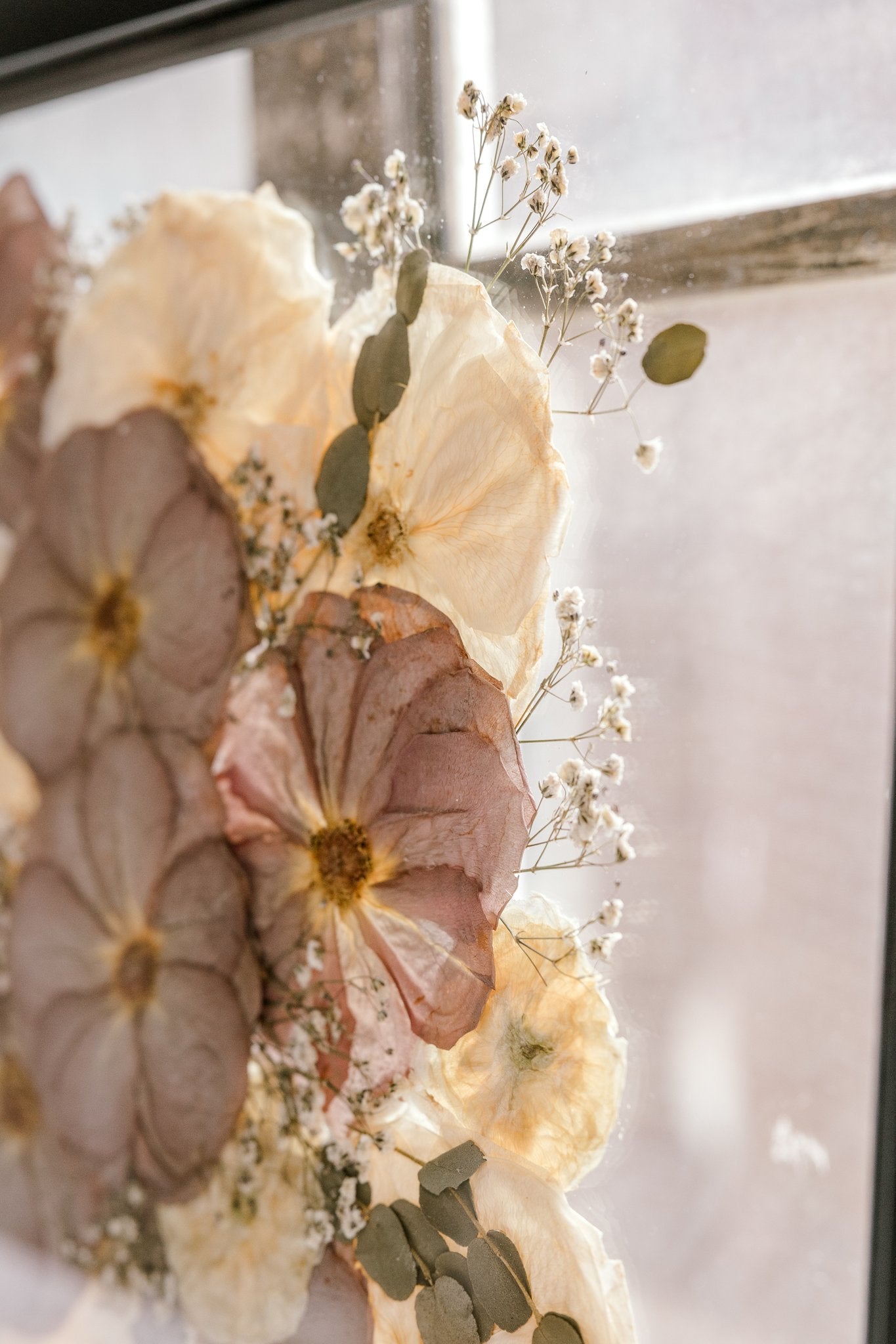 A close up look at purple and white pressed roses in a glass floating frame. 