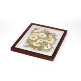 large side view of a brown frame with pressed white and green flowers 