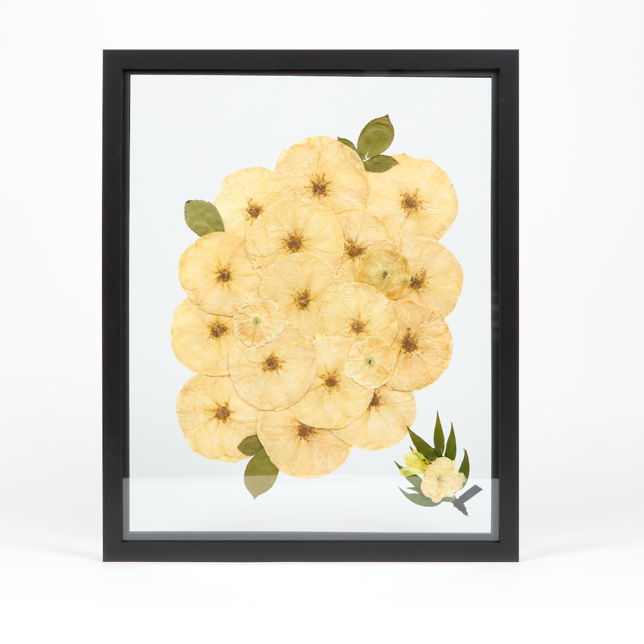 A light and airy floral preservation pressed flower frame with all white pressed roses and ranunculus featuring a boutonniere in a corner. 16x20 black wood frame design. 