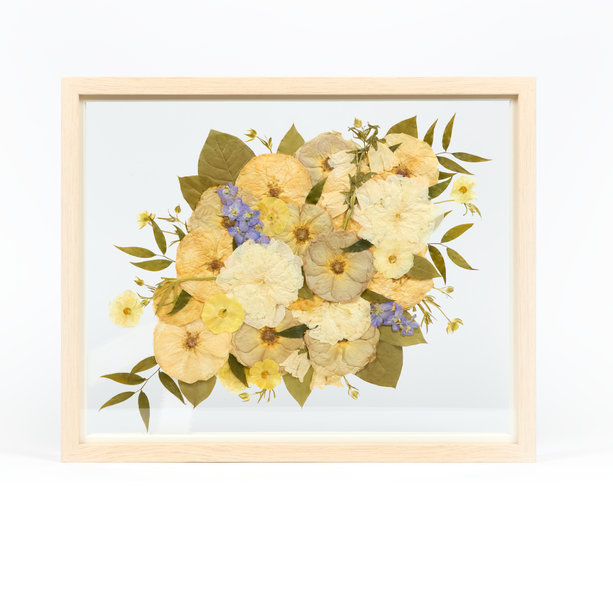 Bridal bouquet preservation in a 16x20 natural wood frame. White, blue, and green pressed florals fill the frame with a floating glass background. This frame features pressed quicksand roses, which when fresh are a dusty pink color and when press change color to a blue-grey tone. 