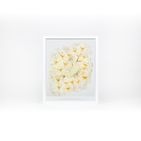 A pressed bridal bouquet in a white wood floating frame featuring pressed white orchids, hydrangea, and baby's breath. 