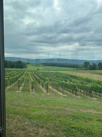 Pressed Flower Workshop At Galen Glen Winery