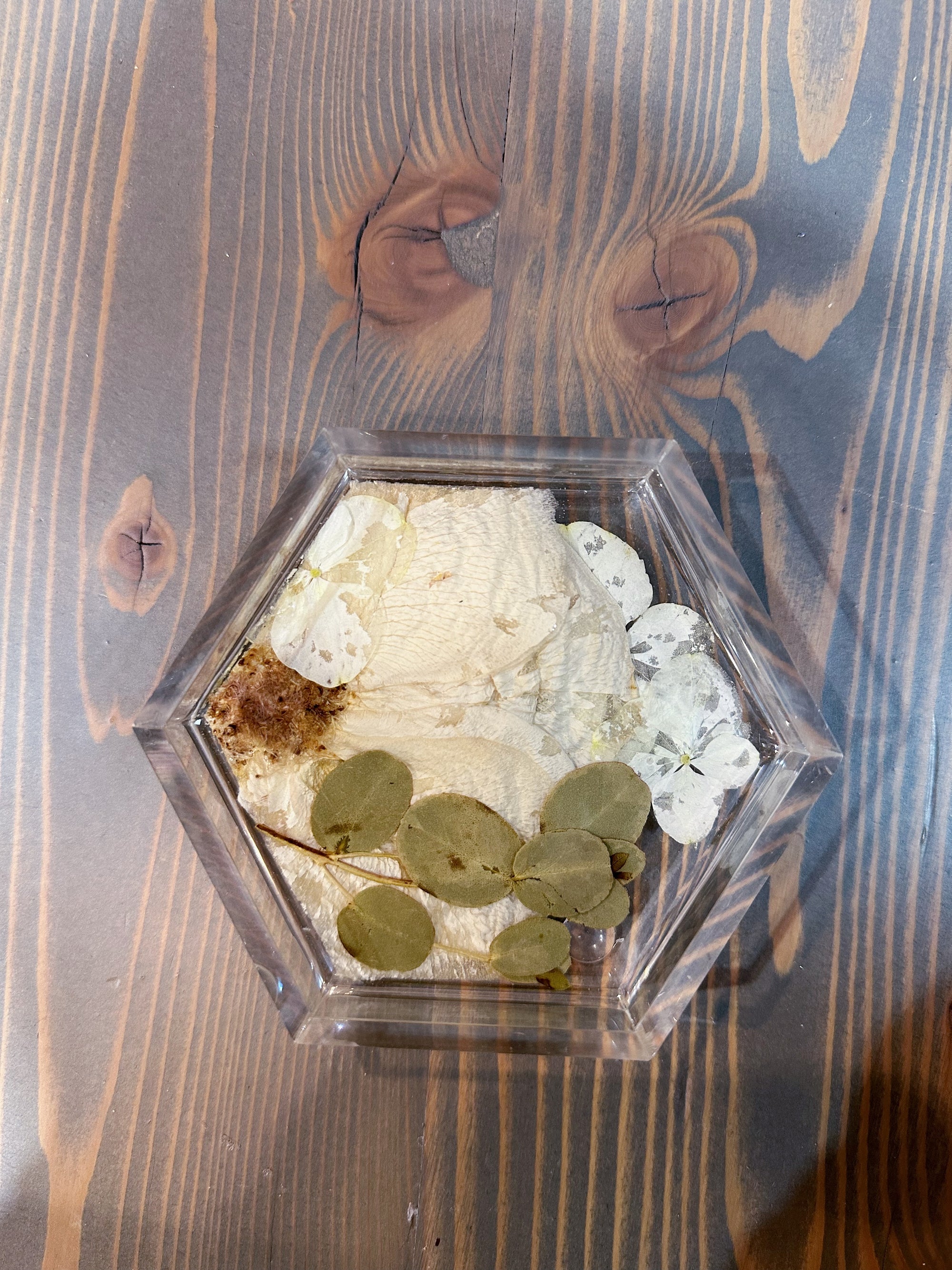 A hexagon resin ring dish with pressed white flowers and greenery set against a wooden surface. 