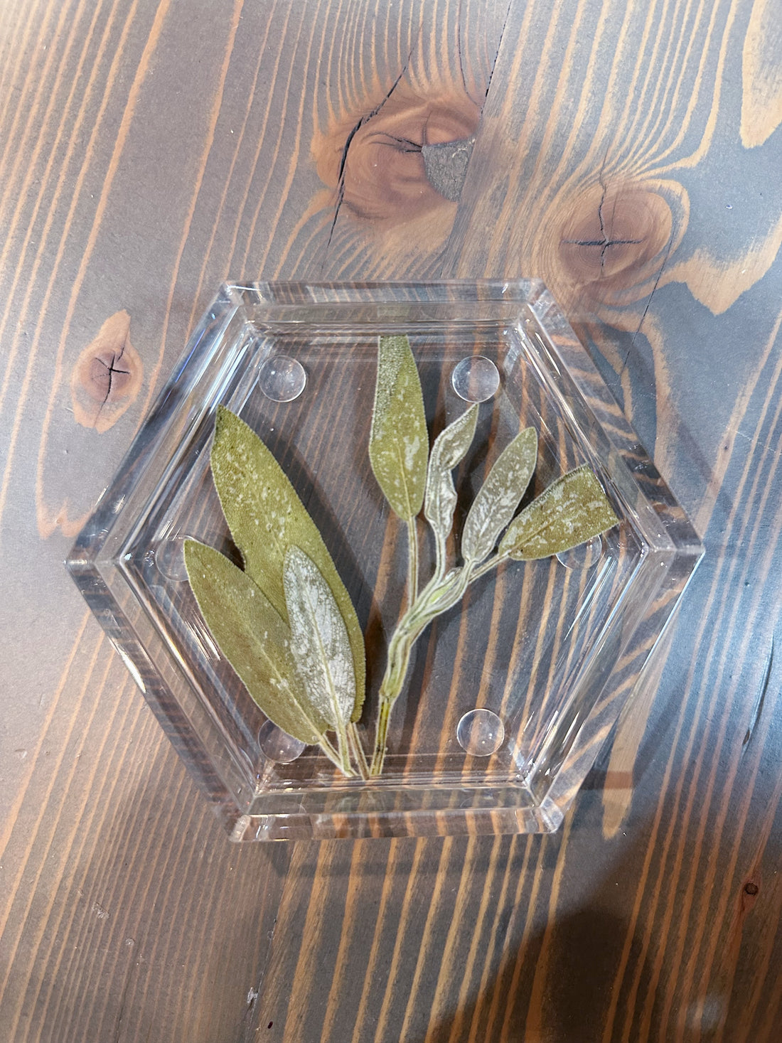 A hexagon resin ring dish with pressed green olive leaves is placed on top of a wooden surface. 