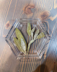 A hexagon resin ring dish with pressed green olive leaves is placed on top of a wooden surface. 