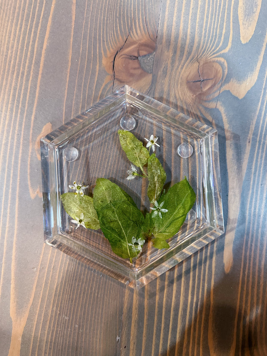 A hexagon resin ring dish featuring a few green leaves and tiny white flowers. It is set on top of a wooden surface. 