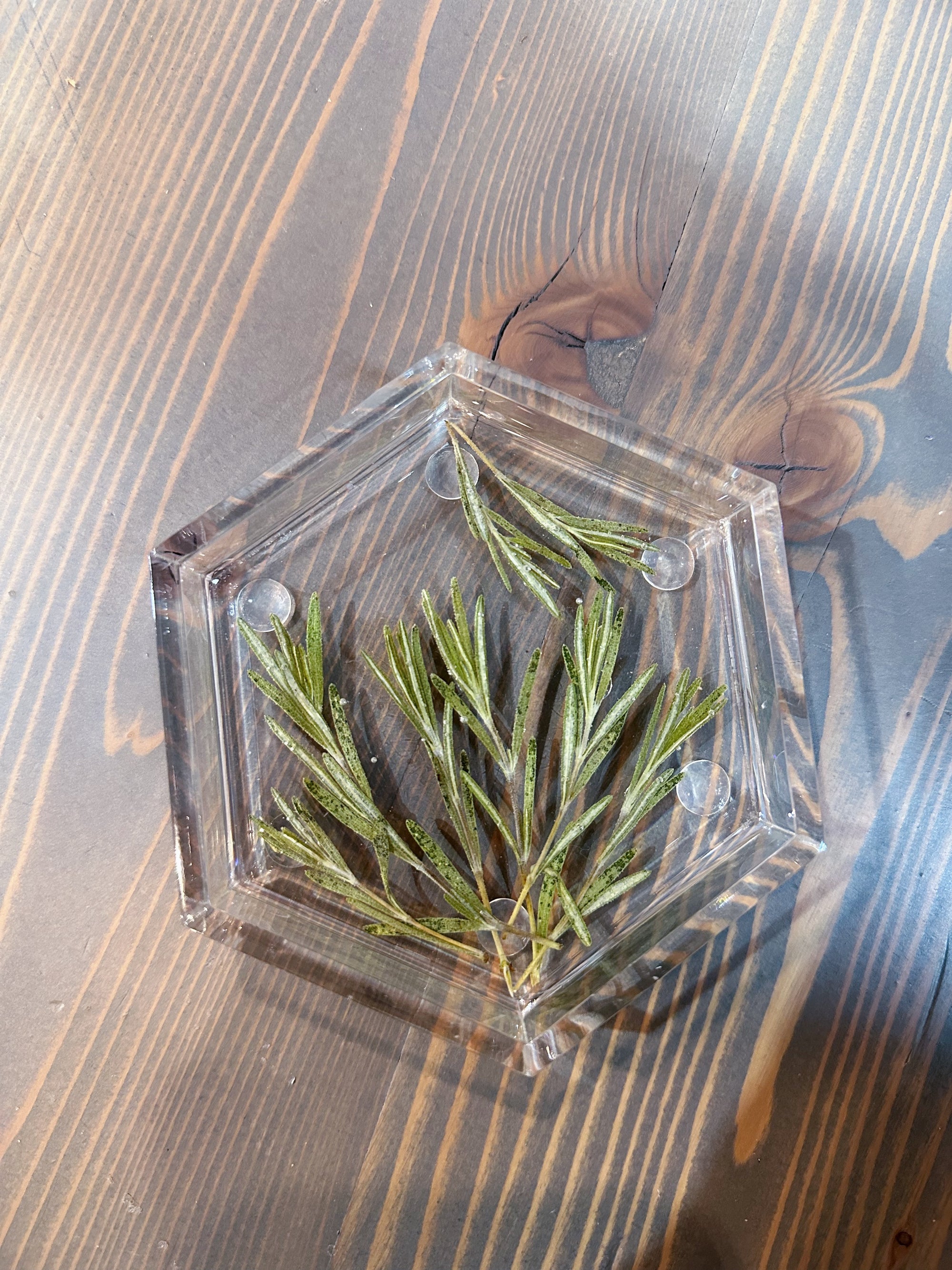 A resin hexagon ring dish with pressed pine leaves set against a wooden surface. 