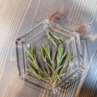 A resin hexagon ring dish with pressed pine leaves set against a wooden surface. 