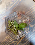 A hexagon resin ring dish features real pressed greenery and small white flowers. It is set against a wooden background. 