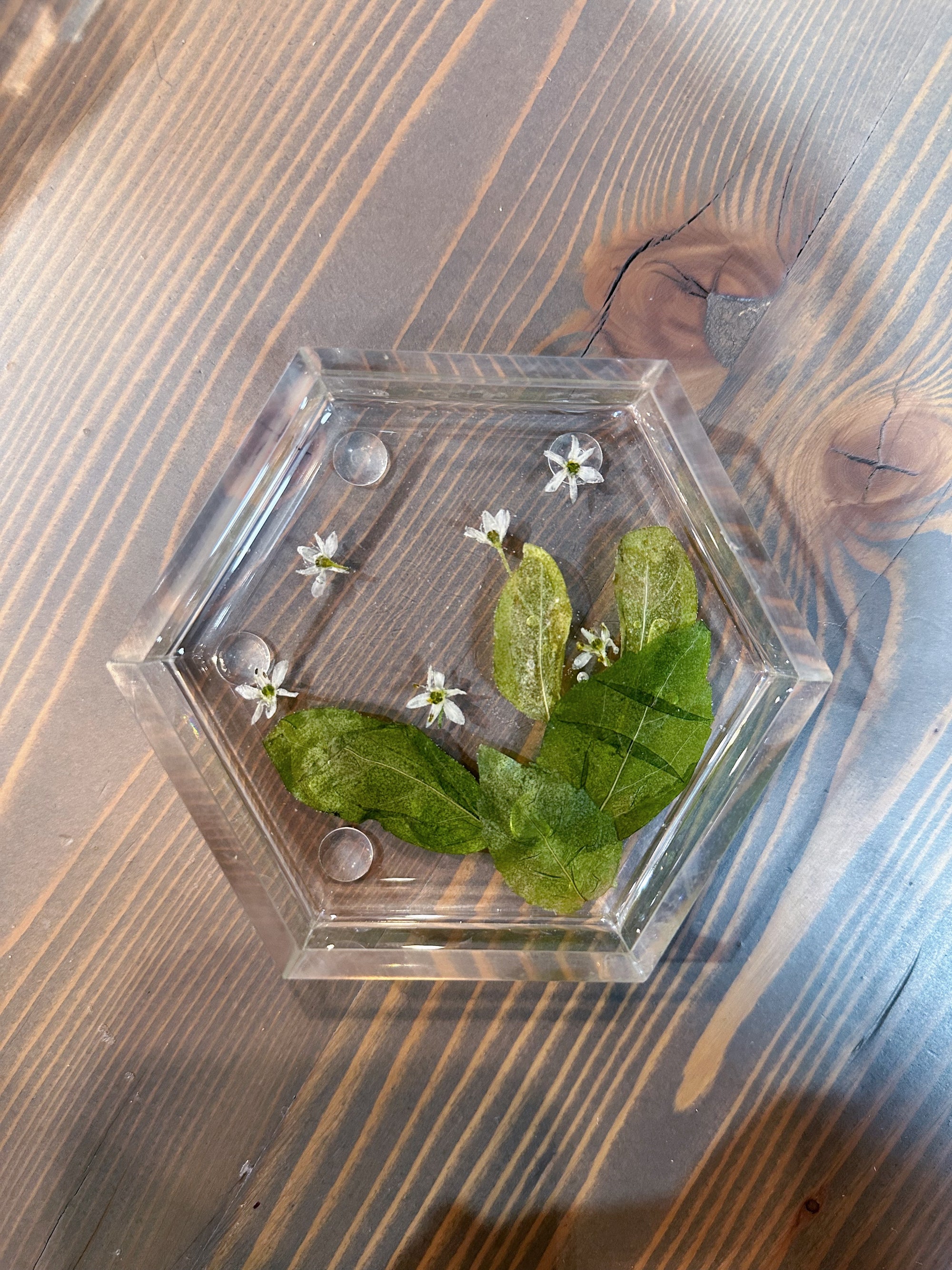 A resin ring dish in the shape of a hexagon features real pressed green leaves and a few tiny white flowers. It is set atop a wooden surface. 