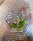 A resin ring dish in the shape of a hexagon features real pressed green leaves and a few tiny white flowers. It is set atop a wooden surface. 