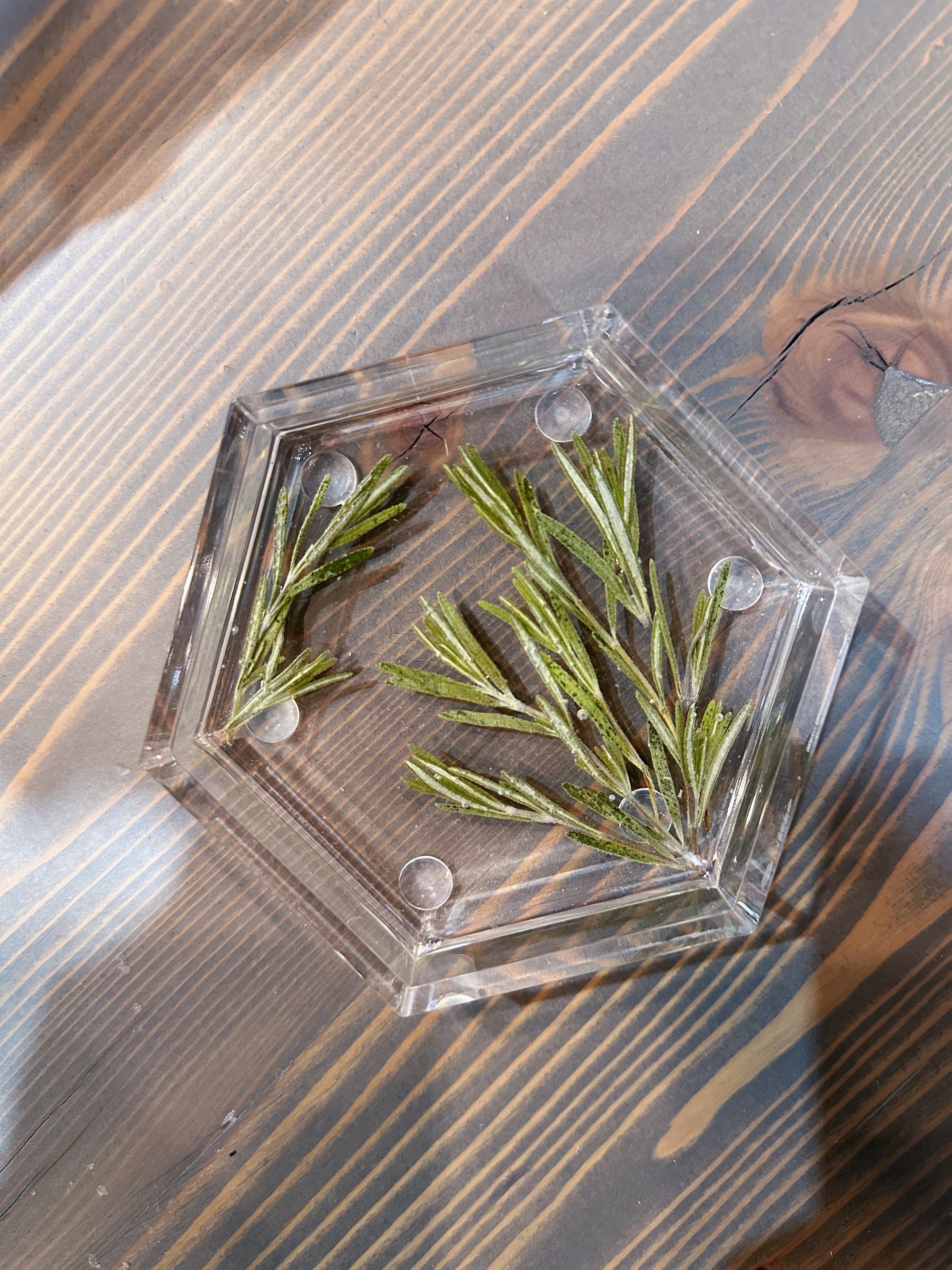 A resin hexagon ring dish with pressed pine leaves set against a wooden surface. 