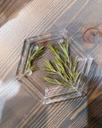 A resin hexagon ring dish with pressed pine leaves set against a wooden surface. 