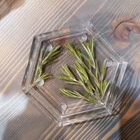 Pressed Flower Hexagon Ring Dishes