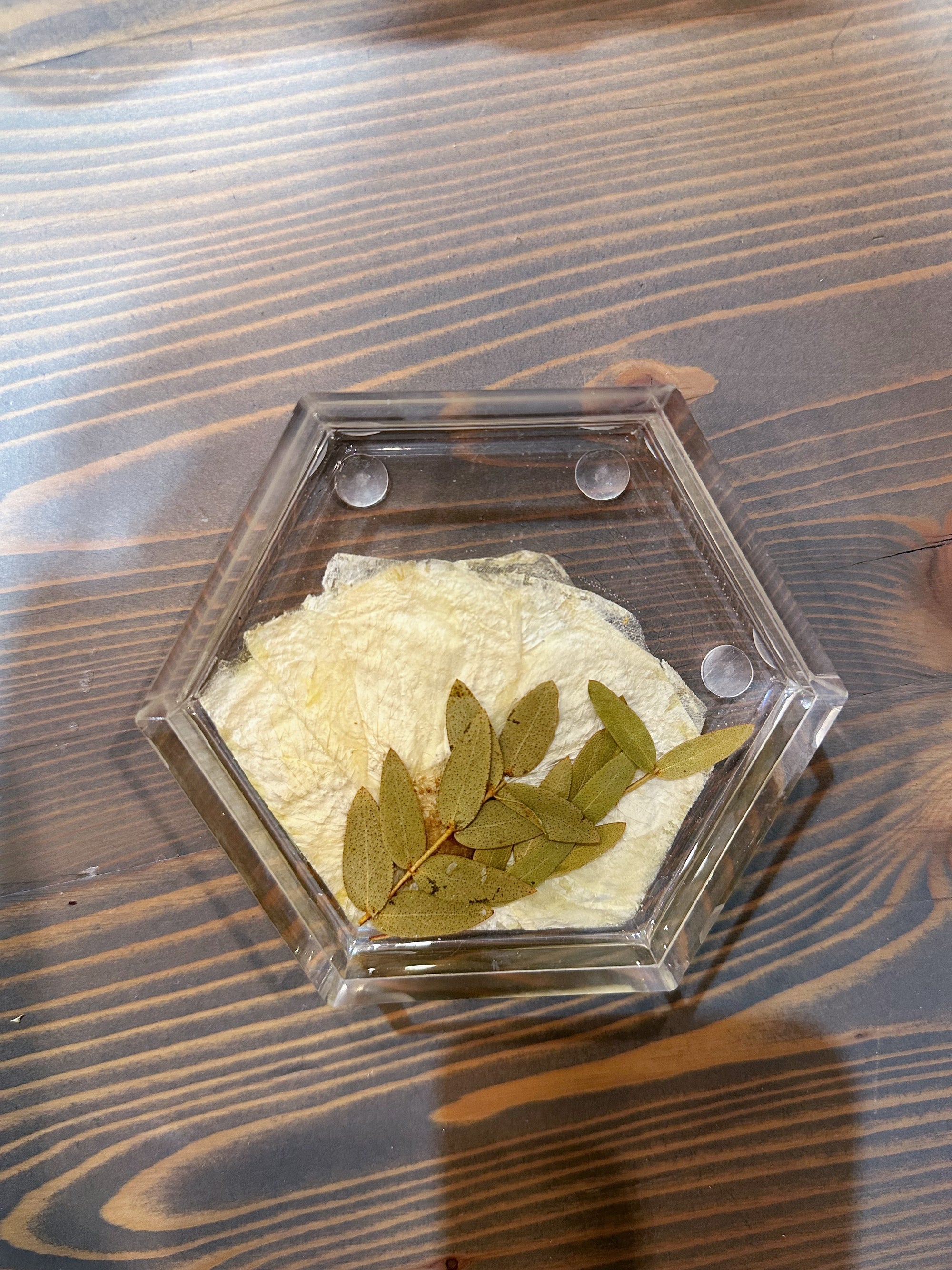 A hexagon resin ring dish with a pressed white flower and some greenery is placed on top of a wooden surface. 