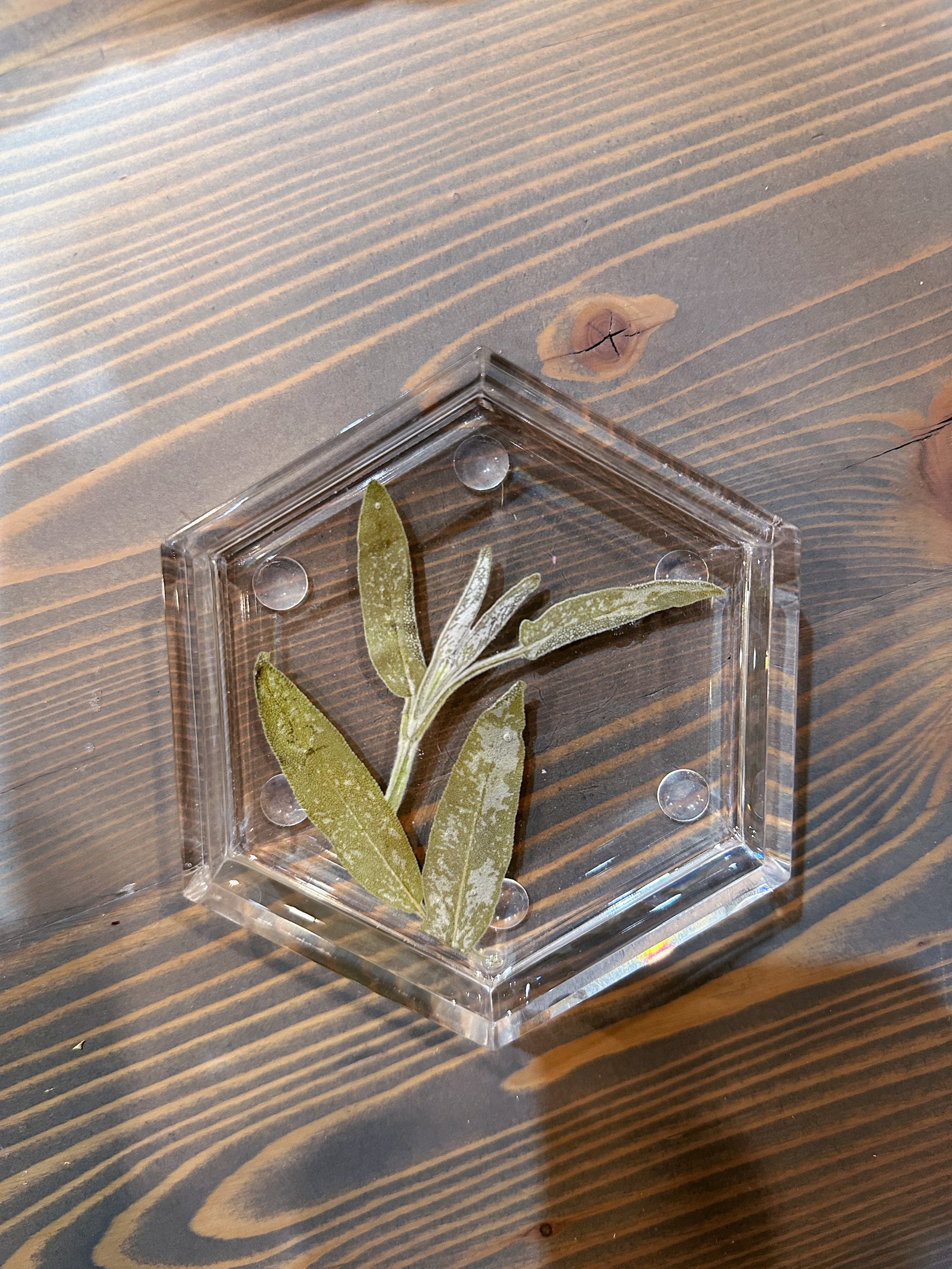 A hexagon resin ring dish designed with a few green leaves it set against a wooden background.  