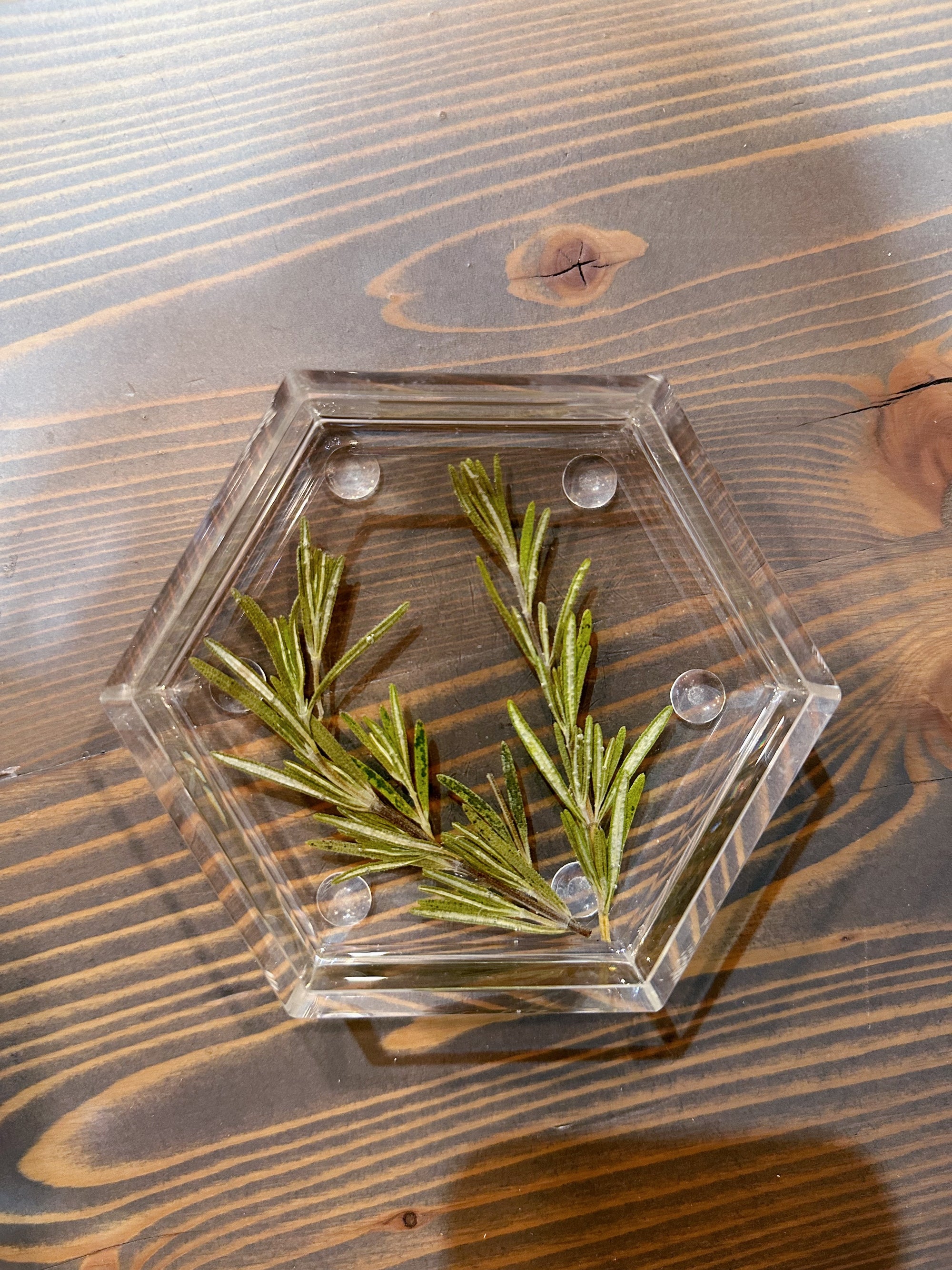 A resin hexagon ring dish with pressed pine leaves set against a wooden surface. 