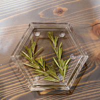 Pressed Flower Hexagon Ring Dishes