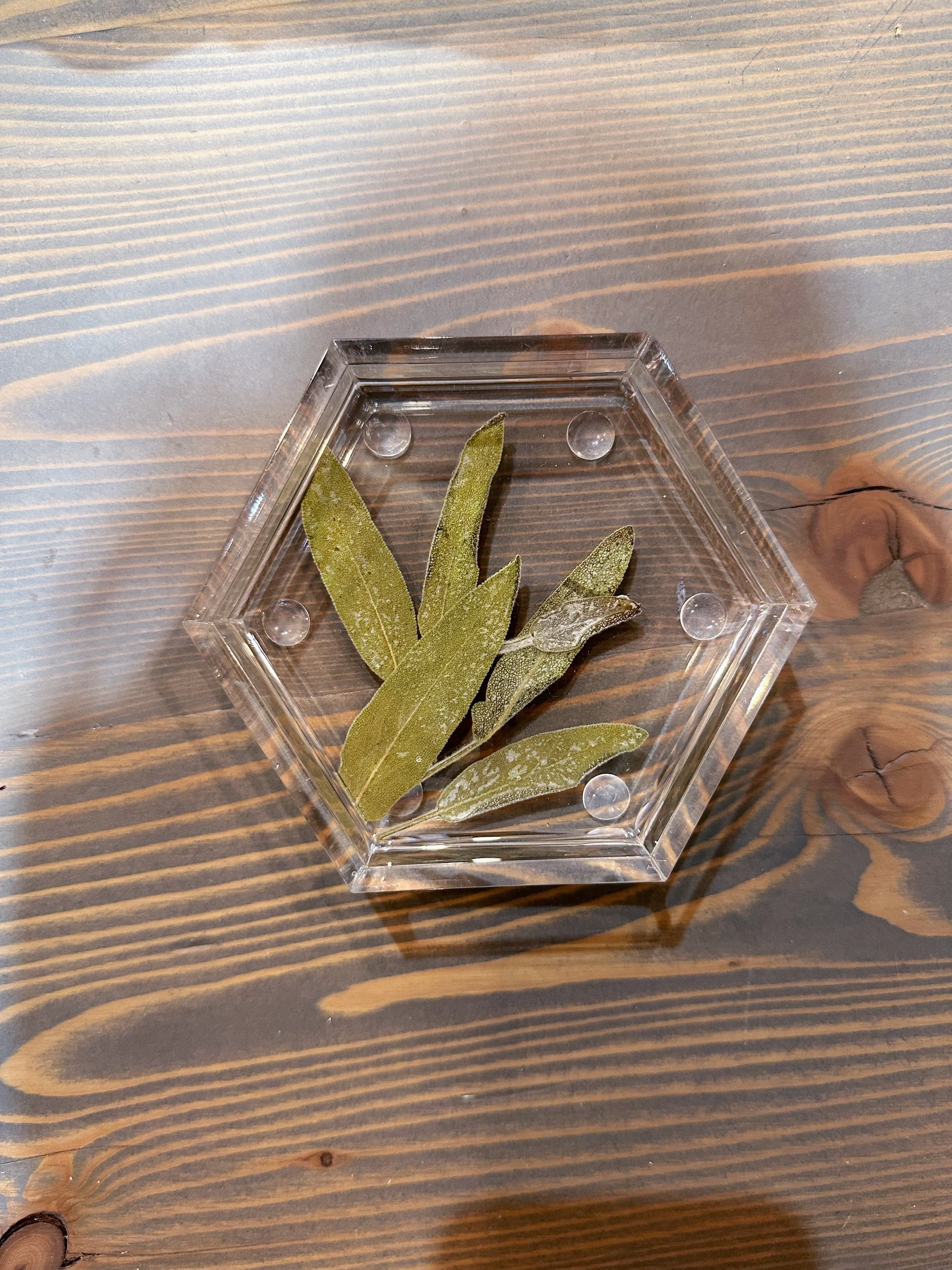 A hexagon resin ring dish with pressed leaves is set on top of a wooden surface. 