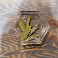 Pressed Flower Hexagon Ring Dishes