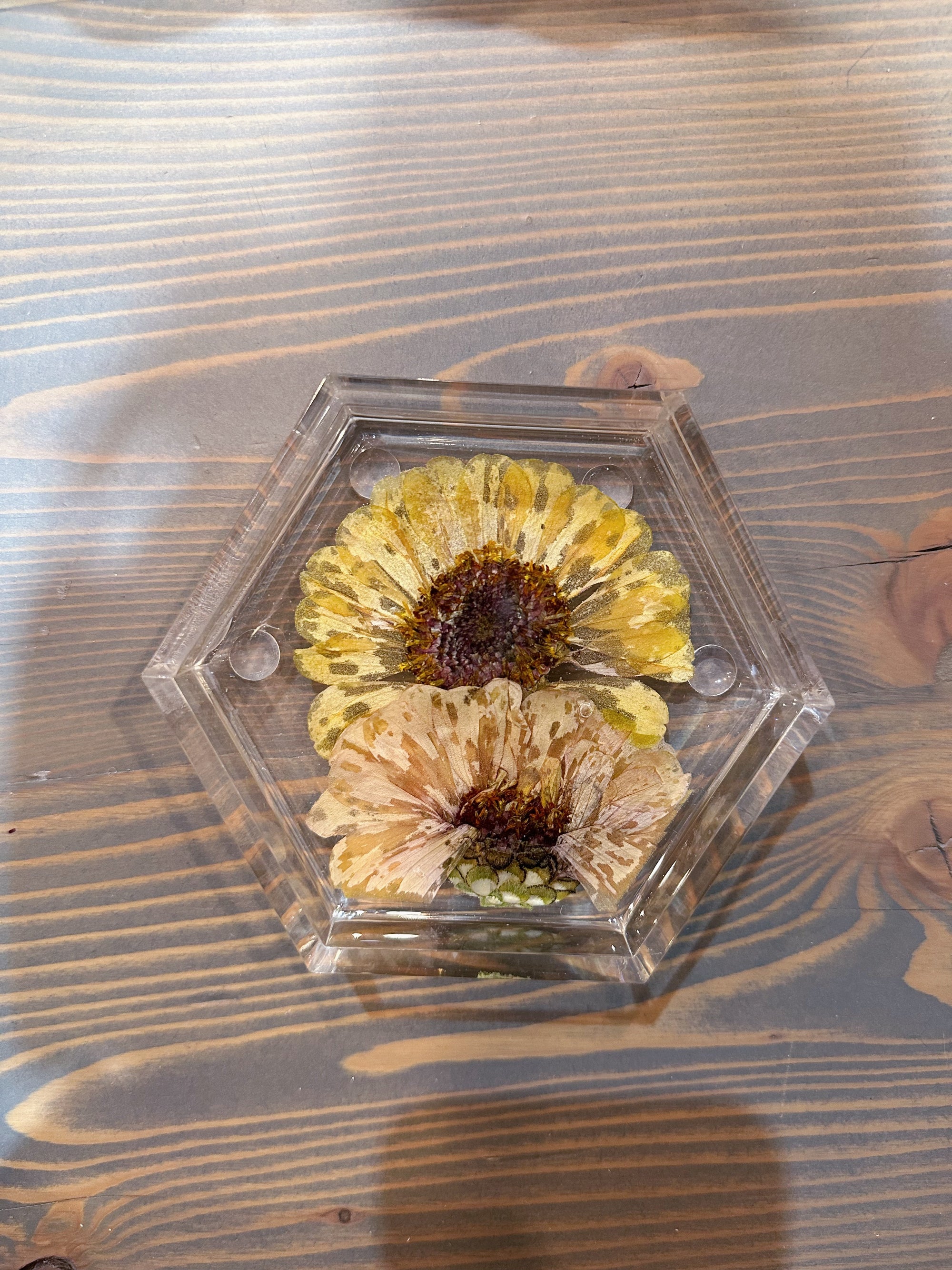 A hexagon resin ring dish with a pressed yellow and cream flowers is placed against a wooden background. 