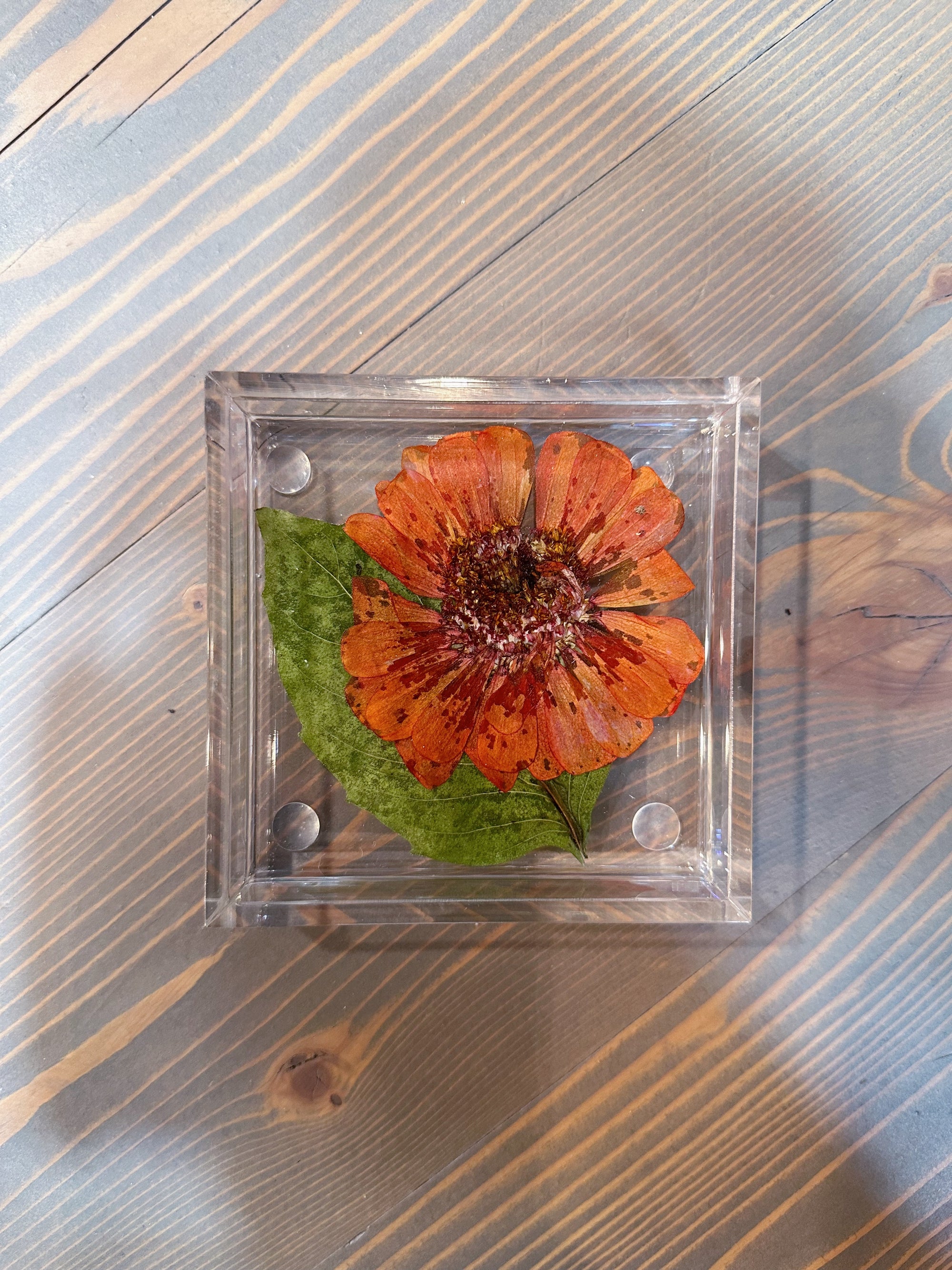 A square resin ring dish with a pressed orange flower and green leaf is set atop a wooden background. 