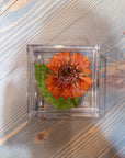 A square resin ring dish with a pressed orange flower and green leaf is set atop a wooden background. 