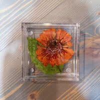 A square resin ring dish with a pressed orange daisy and green leaf is set atop a wooden background. 